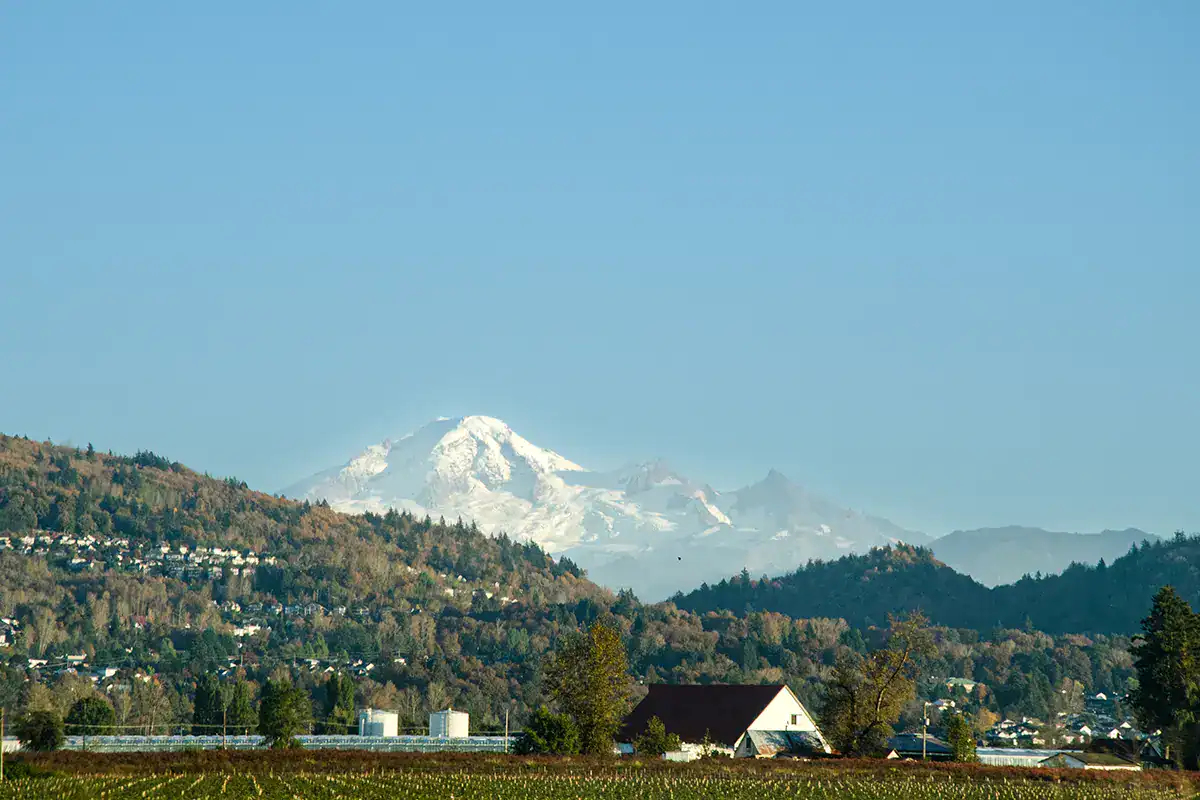 Fraser Valley Envelope Sealing